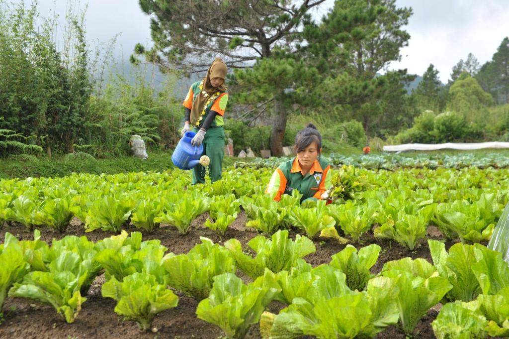 Taman Simalem Resort Tongging Ngoại thất bức ảnh