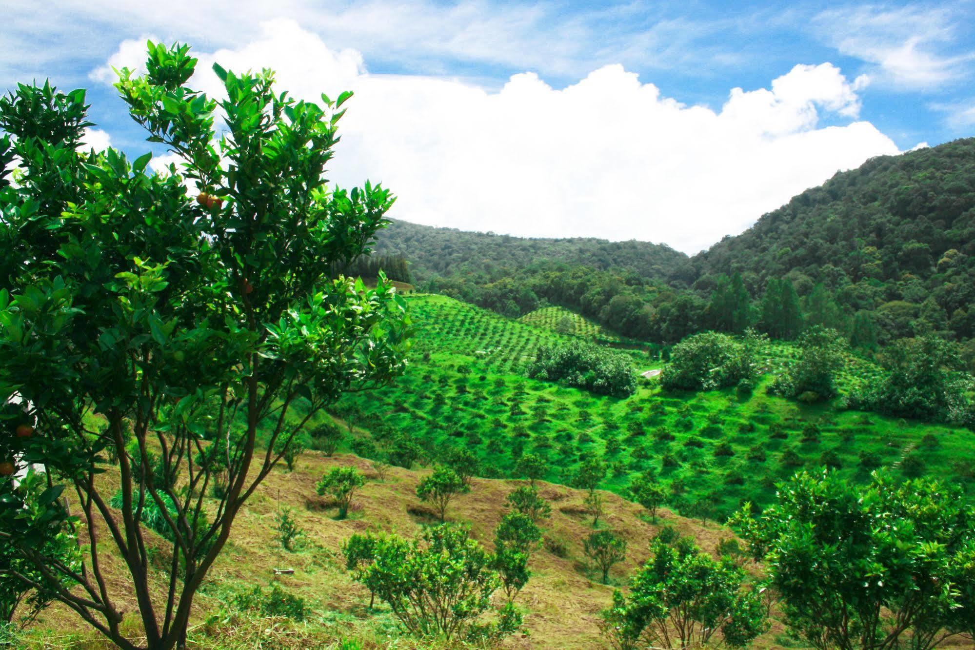 Taman Simalem Resort Tongging Ngoại thất bức ảnh