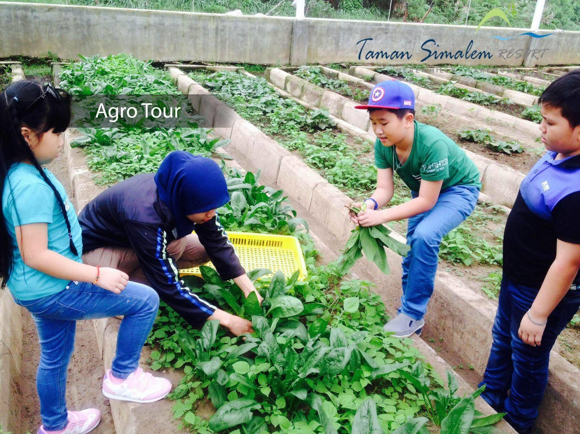 Taman Simalem Resort Tongging Ngoại thất bức ảnh