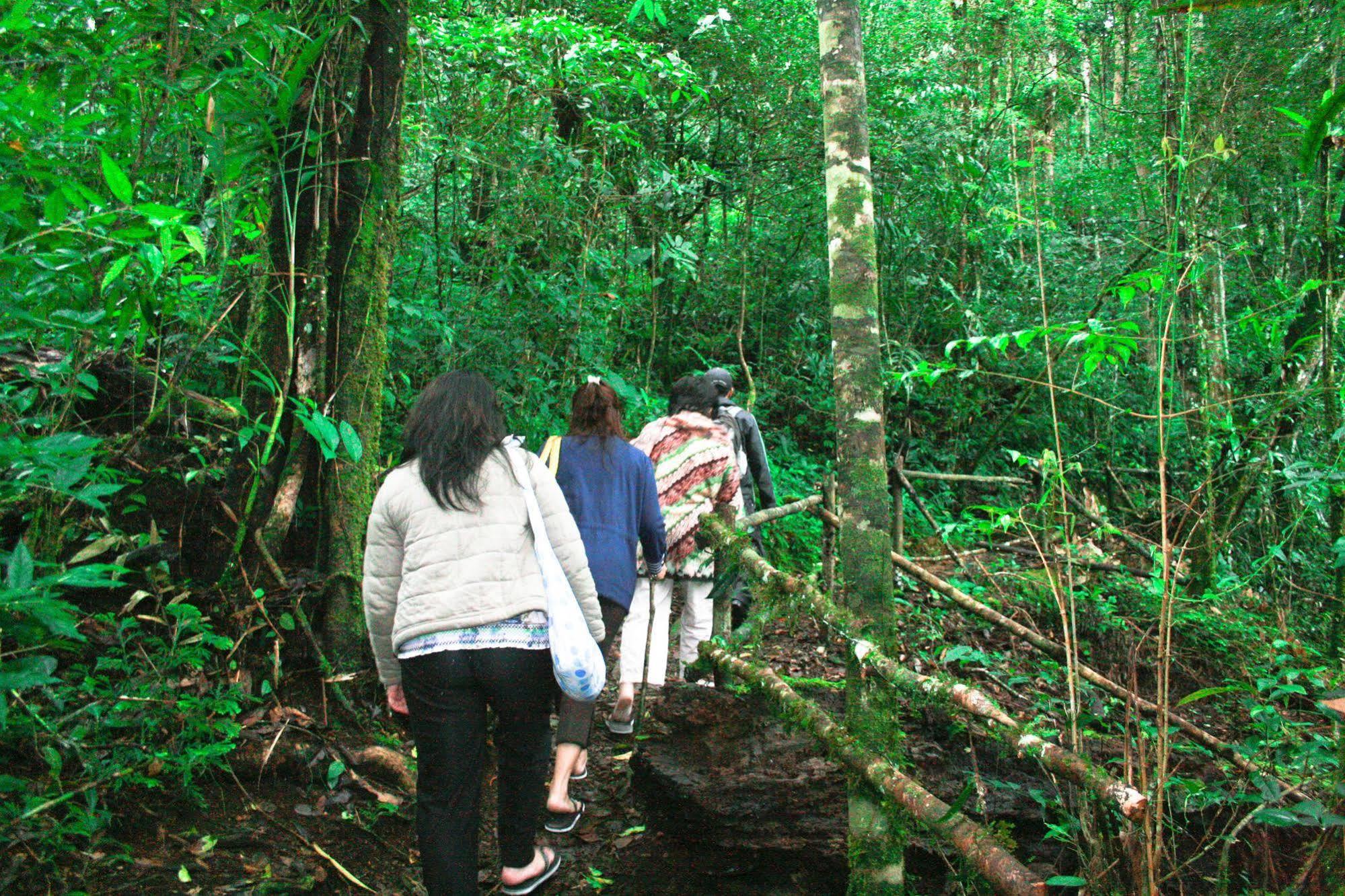 Taman Simalem Resort Tongging Ngoại thất bức ảnh