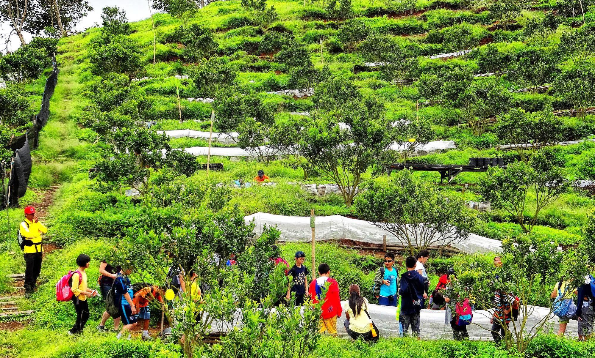 Taman Simalem Resort Tongging Ngoại thất bức ảnh
